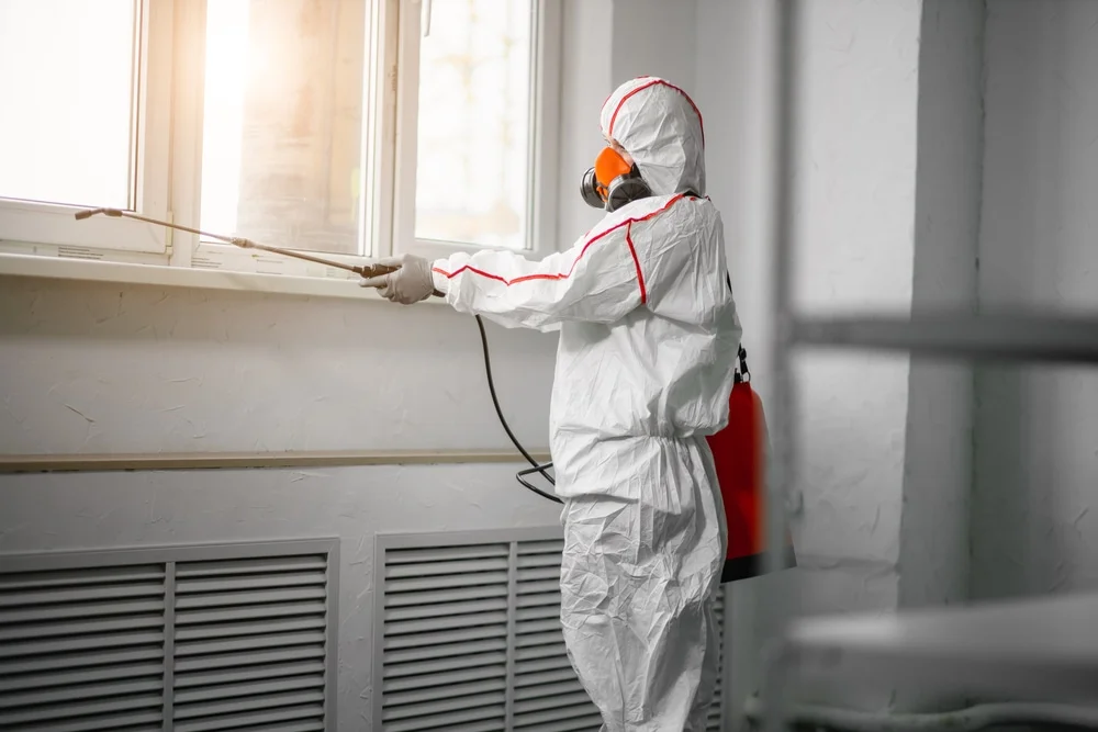 Professional mold remediation services in Fairfield, FL